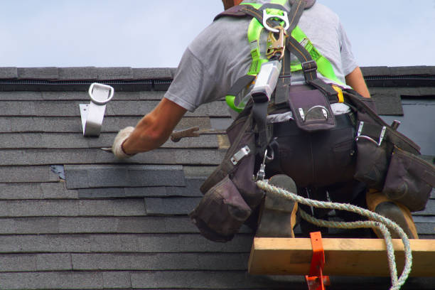 Best Residential Roofing Contractor  in Nicholls, GA
