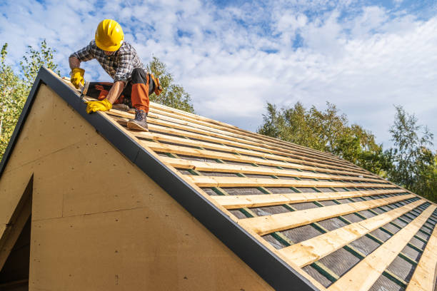 Best Roof Repair Services  in Nicholls, GA