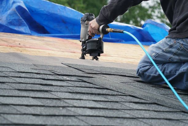 Best Shingle Roofing Installation  in Nicholls, GA