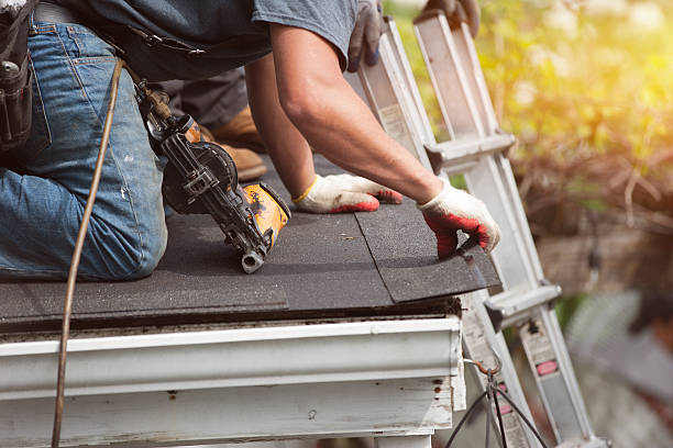 Best Roof Waterproofing Services  in Nicholls, GA