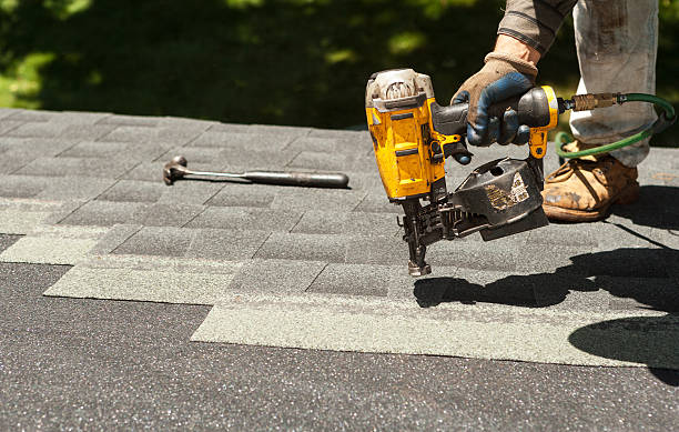 Best Roof Gutter Cleaning  in Nicholls, GA