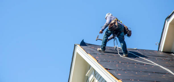 Best Roof Leak Repair  in Nicholls, GA
